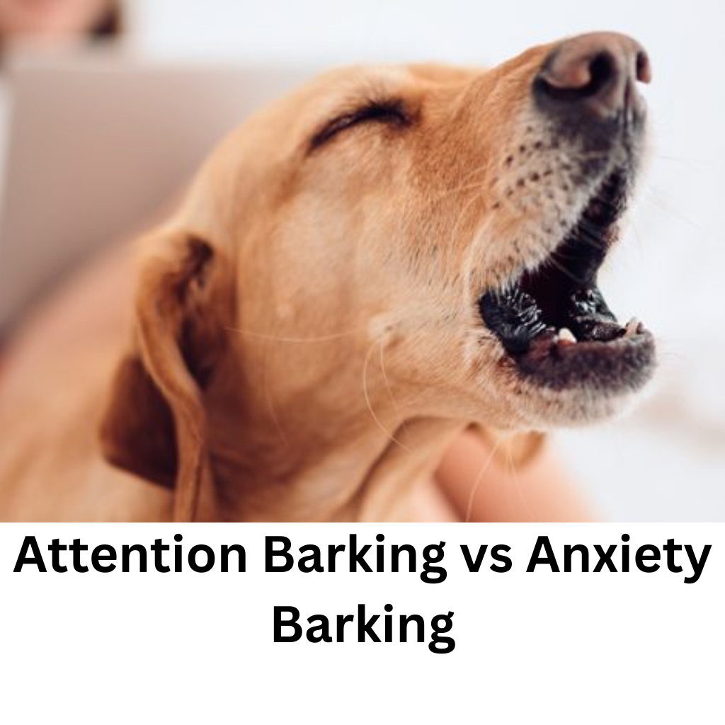 attention barking vs anxity barking