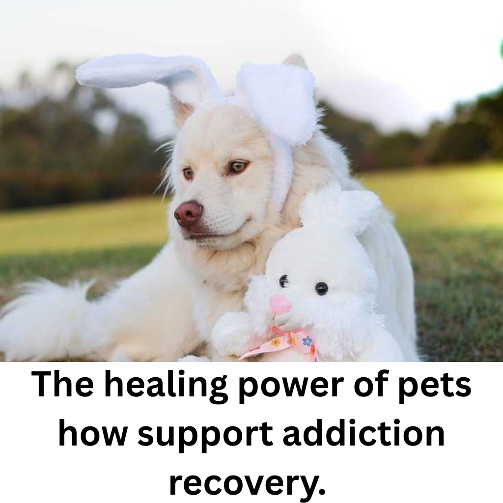 The healing power of pets