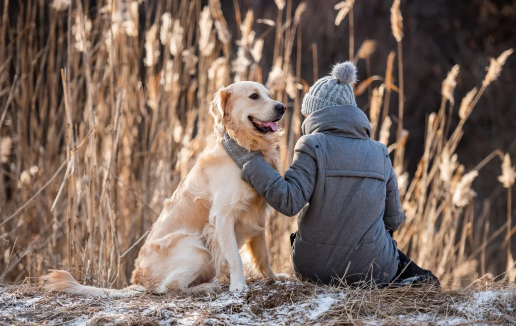 The healing power of pets how support addiction recovery. 