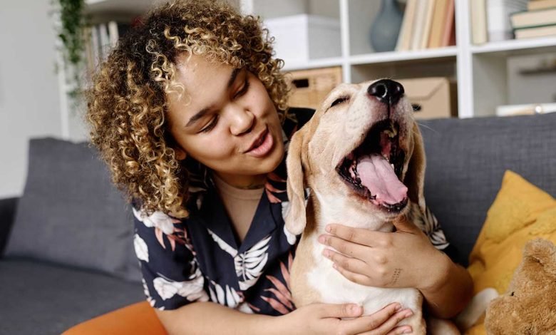 hire reactive dog tranier